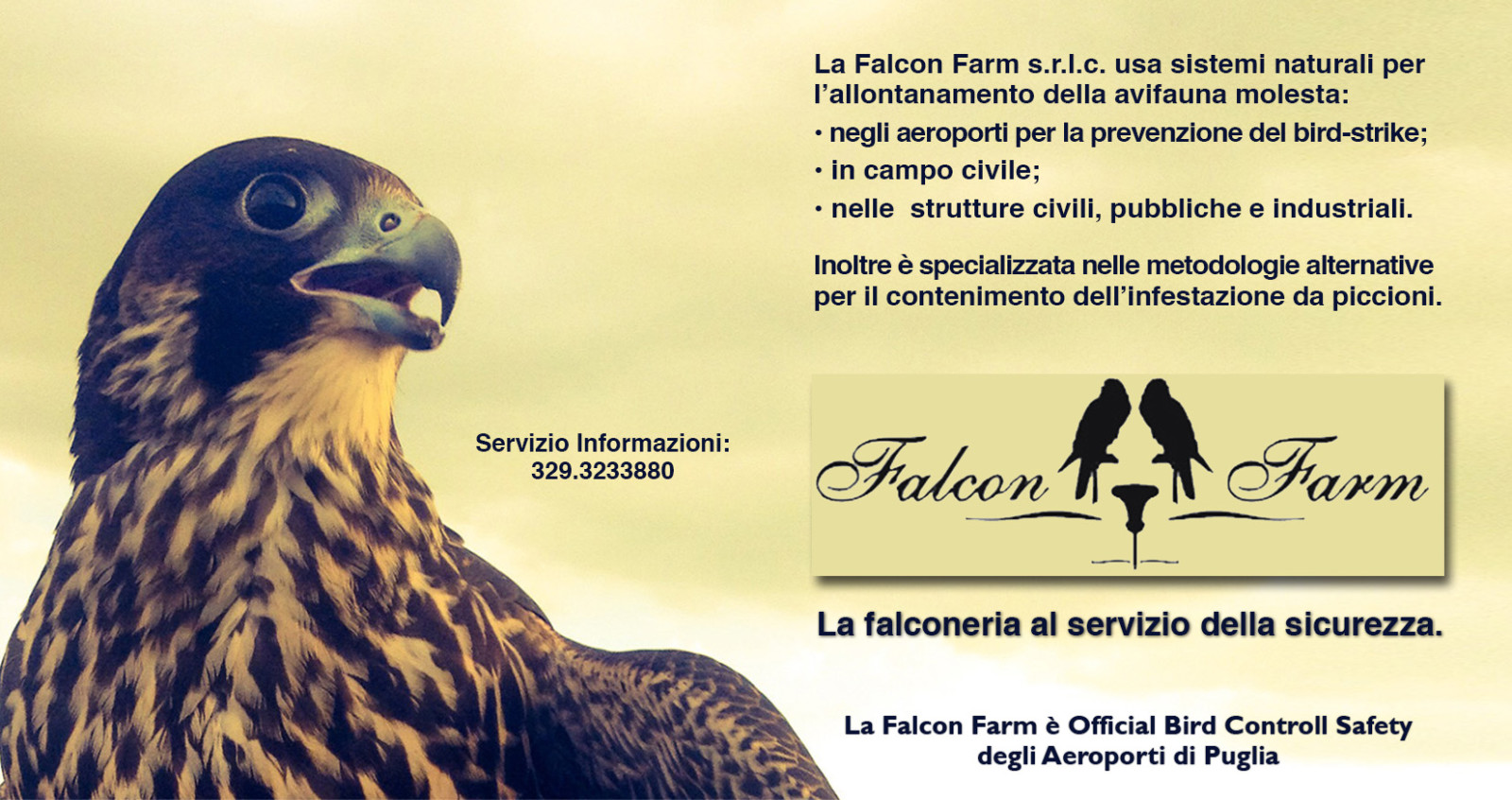 falconfarm_ditutto